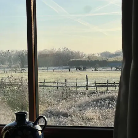 Feldblick Mit Kamin Fuer 15 Personen بيت للعطل *